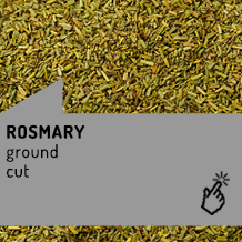 Rosemary