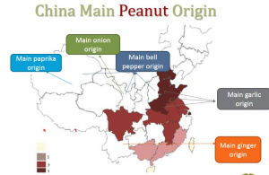 China Regionen Knoblauch und Peanut Martine van der Haegen ESS Crop Report ESA