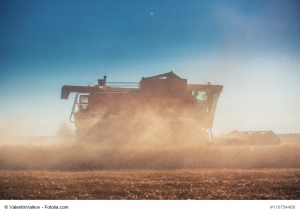 Combine harvester agriculture machine harvesting golden ripe whe