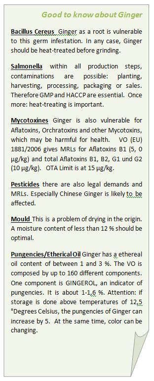 ginger-good-to-know