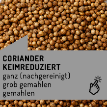 coriander