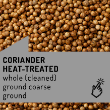 coriander_en