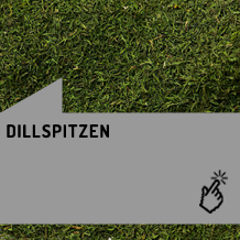 dillspitzen