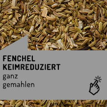 fenchel