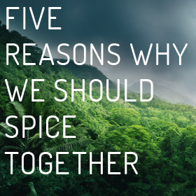 Five reasons why we should spice together