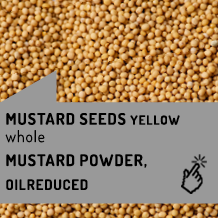 mustard_seeds_yellow