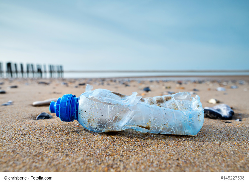 pollution sur la plagr